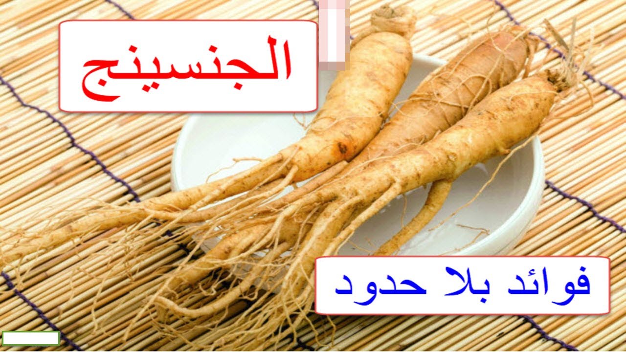 فوائد الجنسنج المذهلة وطريقة استخدامه ومحاذير الاستخدام