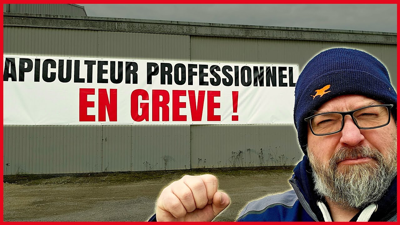 MARCHE OU GR&Egrave;VE !     [S08E04]