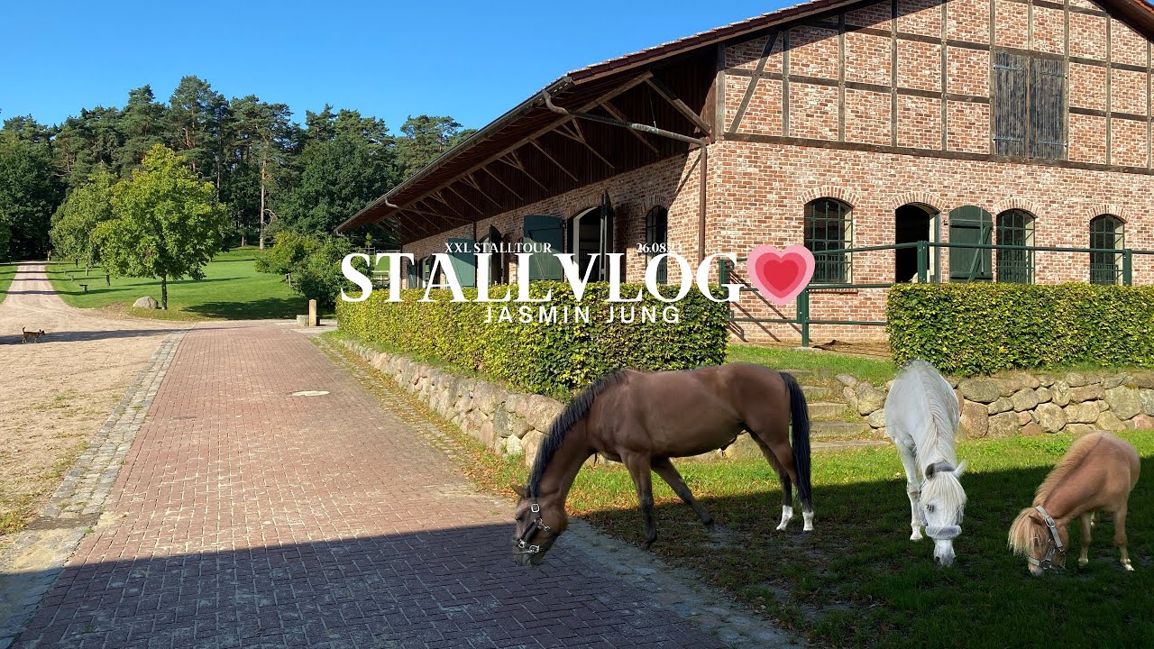 Stallalltag & XXL Stalltour💗🐴