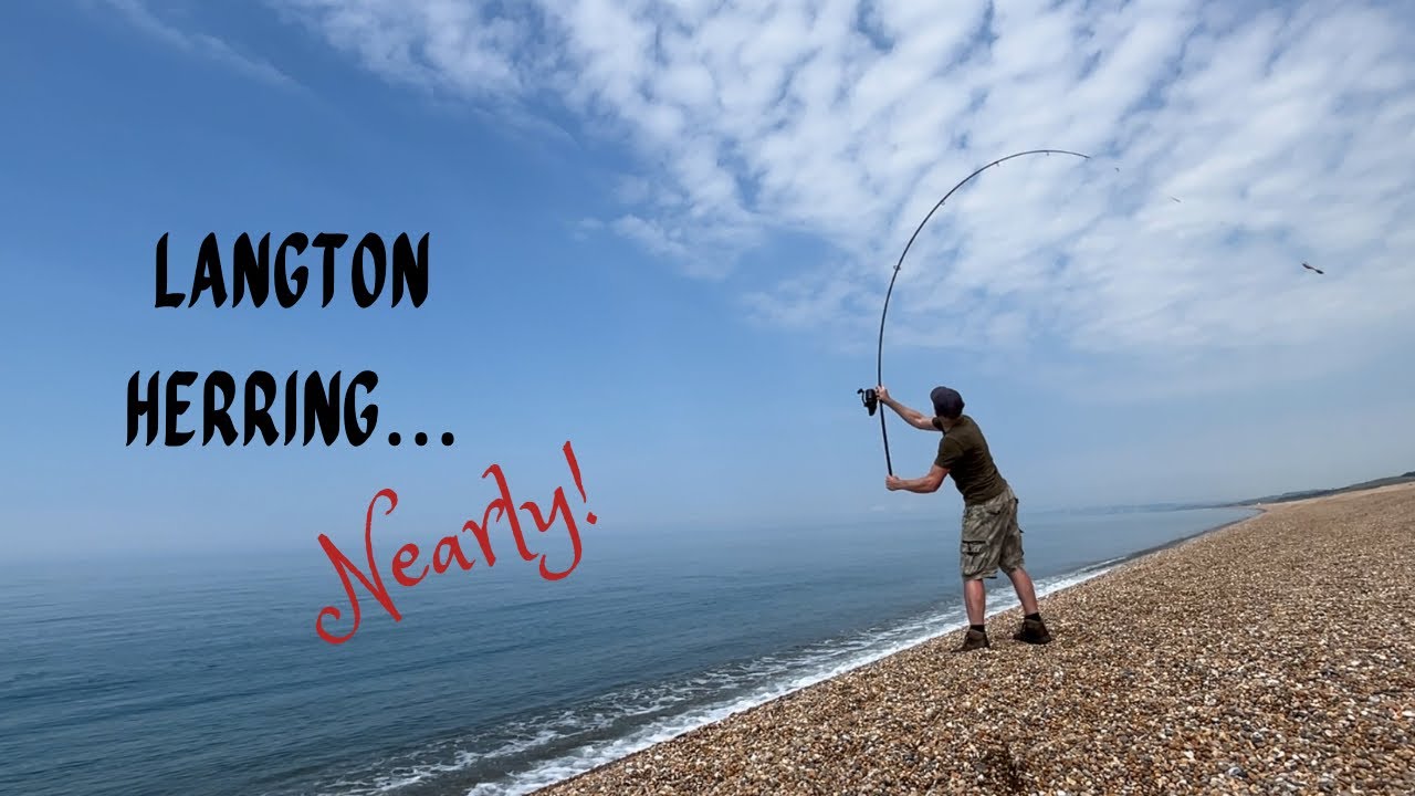EPIC Adventure - Marching to the fish! Chesil beach fishing for 5 species, smooth-hounds to gurnard!