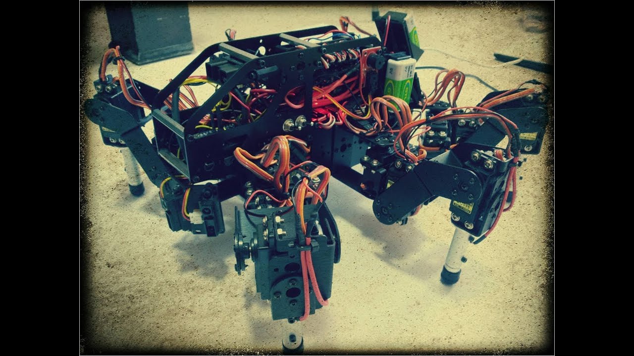 Engineering Project: Hexapod robot by Ben Moshe Arthur