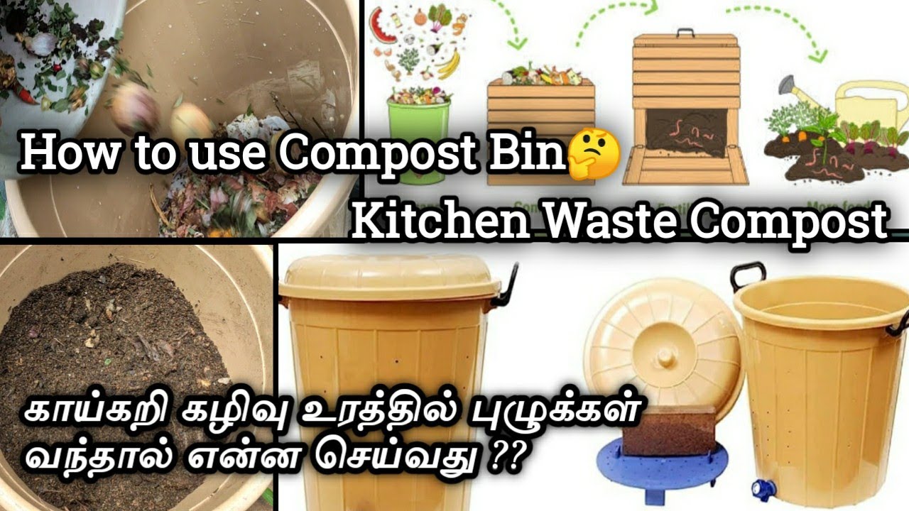 Maadi thottam kitchen waste Compost 🏡how to use Compost Bin🤔உரத்தில் புழுக்கள் வந்தால் என்ன செய்வது
