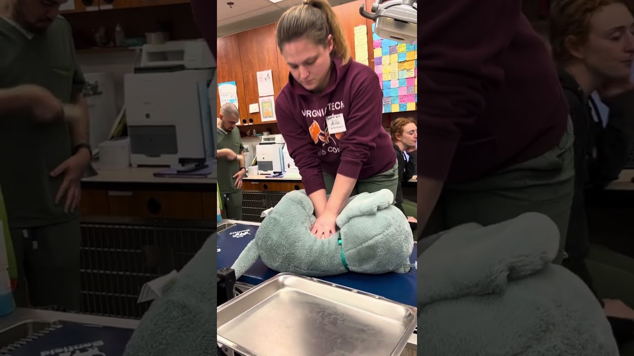 Skill 17 CPR