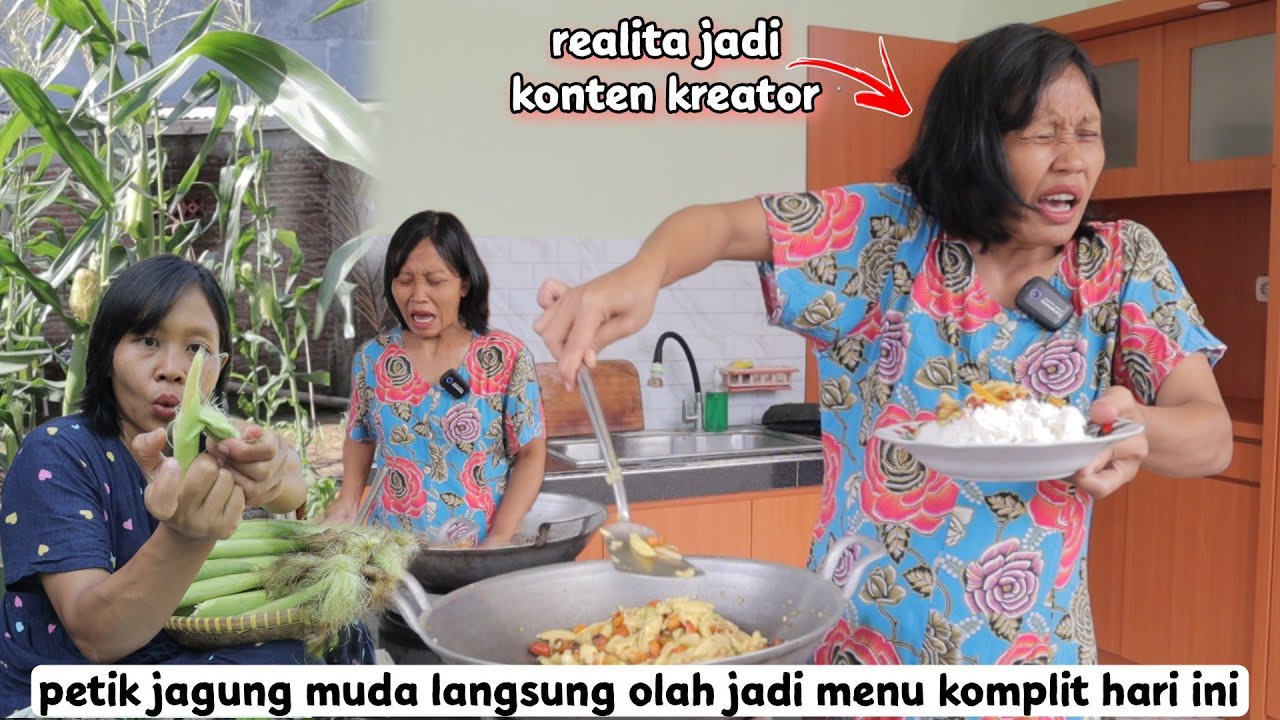 realita konten kreator !! petik jagung muda langsung olah jadi menu komplit hari ini