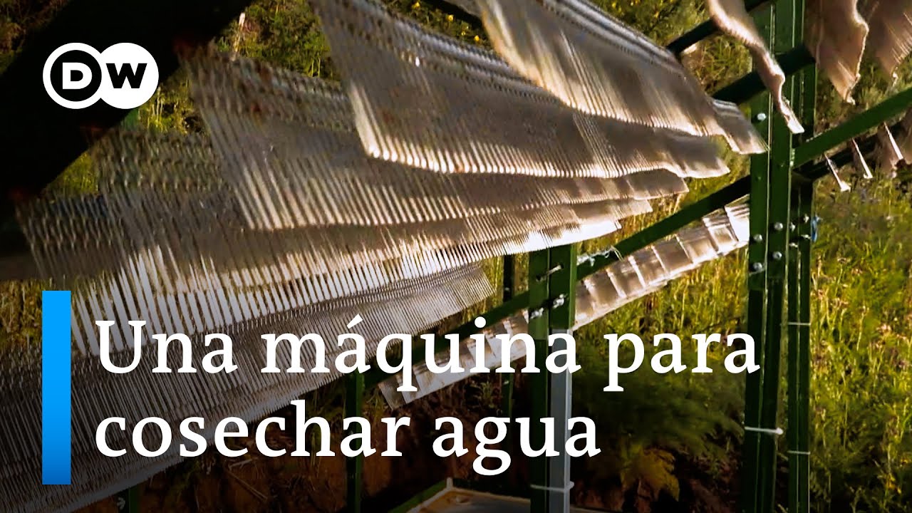España: agua potable a partir de la niebla