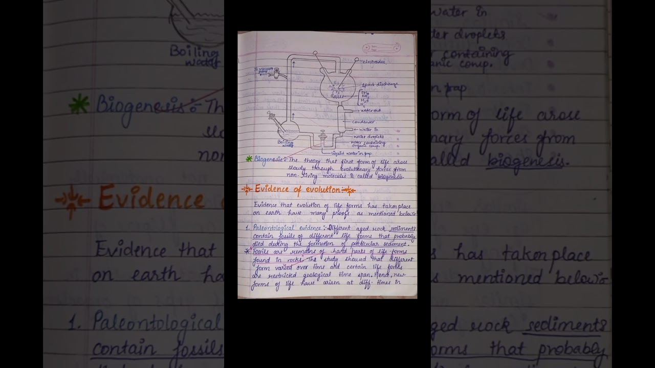 Ch-7 Evolution & origin of life  #biologyclass12 #evolution #notes #neet #boardexam #biologynotes