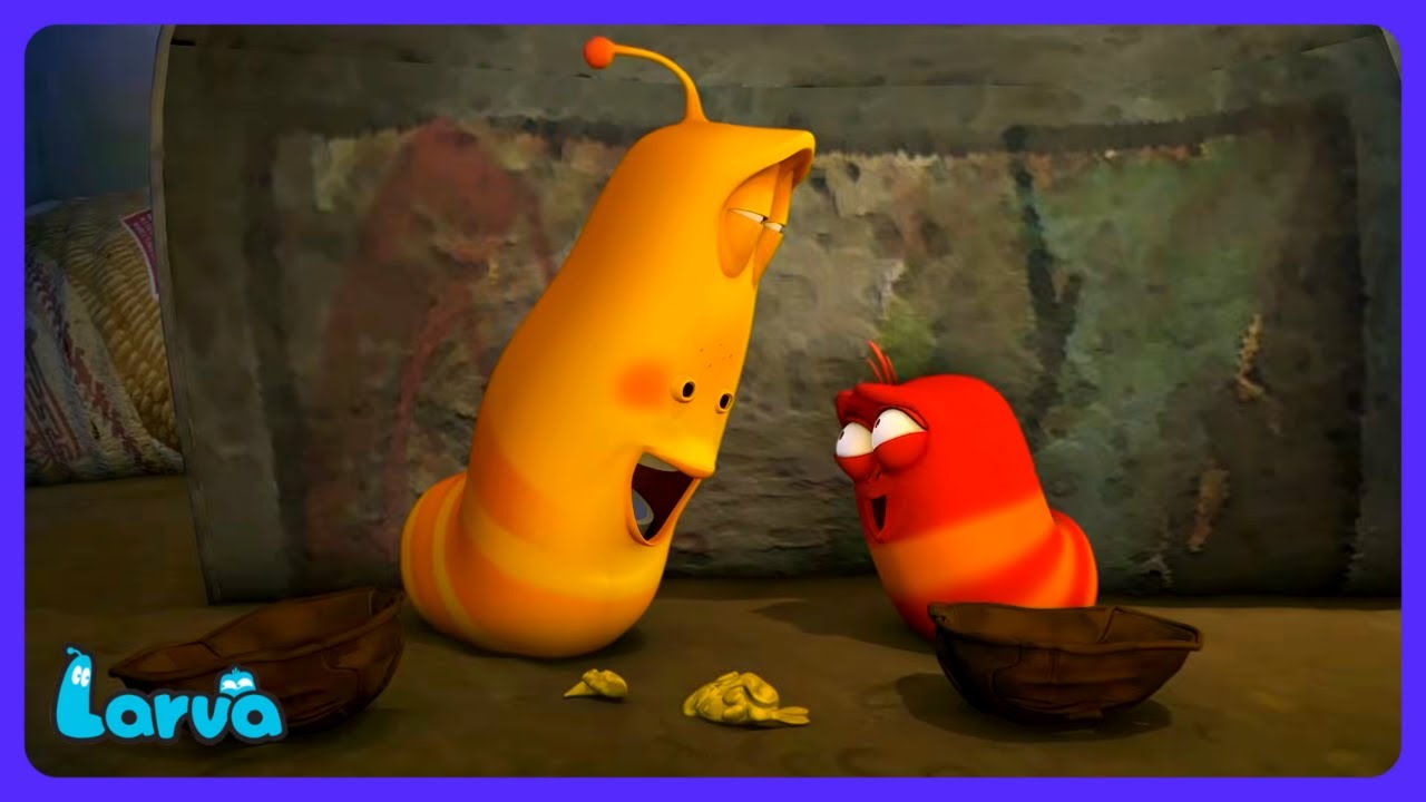 Larva - אגוז קשיח לפיצוח! | קריקטורות בעברית | WildBrain יְלָדִים