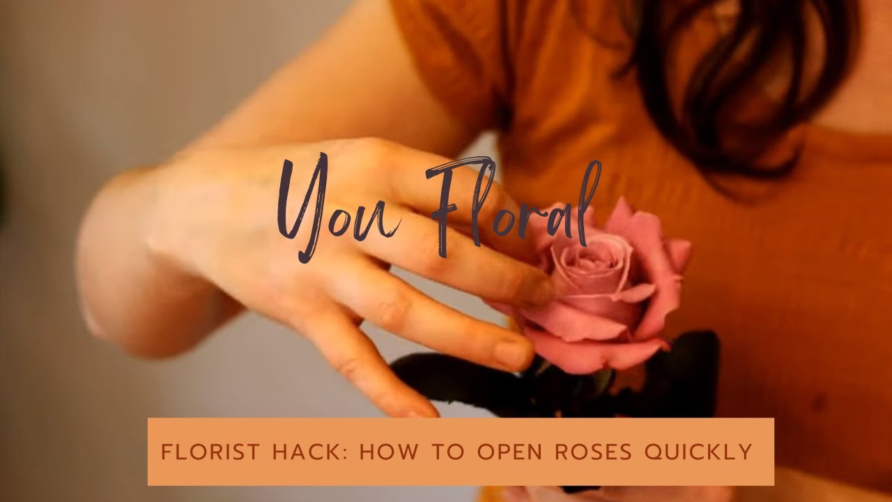 Florist Hack: How To Open Up Your Roses