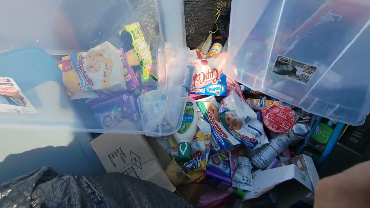 Dumpster na unang nagbiyaya sa akin muling nagpa Ulan nang grasya #foryou