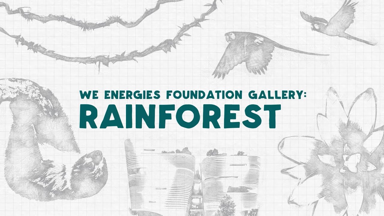 Rainforest Gallery, Butterfly Vivarium, & Rooftop Terrace - Reveal