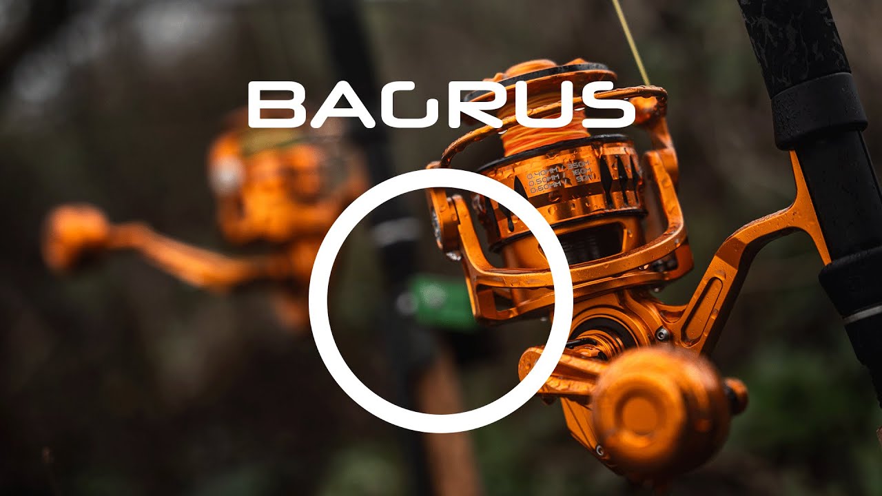 VAGNER REELS BAGRUS (EN)
