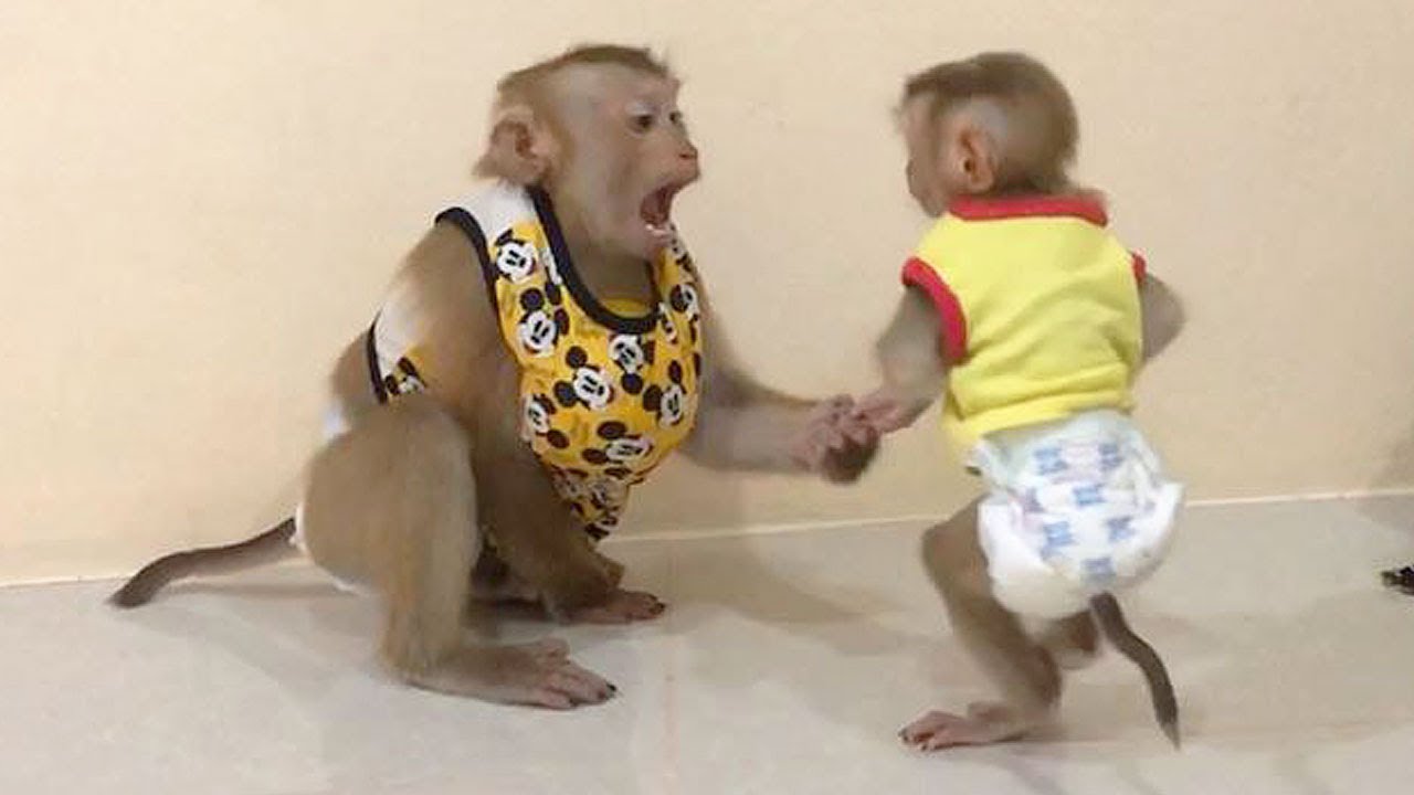 Brother Jason Laughable Body Language To Communicate Invite Little Hailey Playing