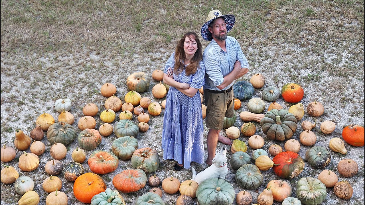 We decided to grow 4,000lbs of pumpkins