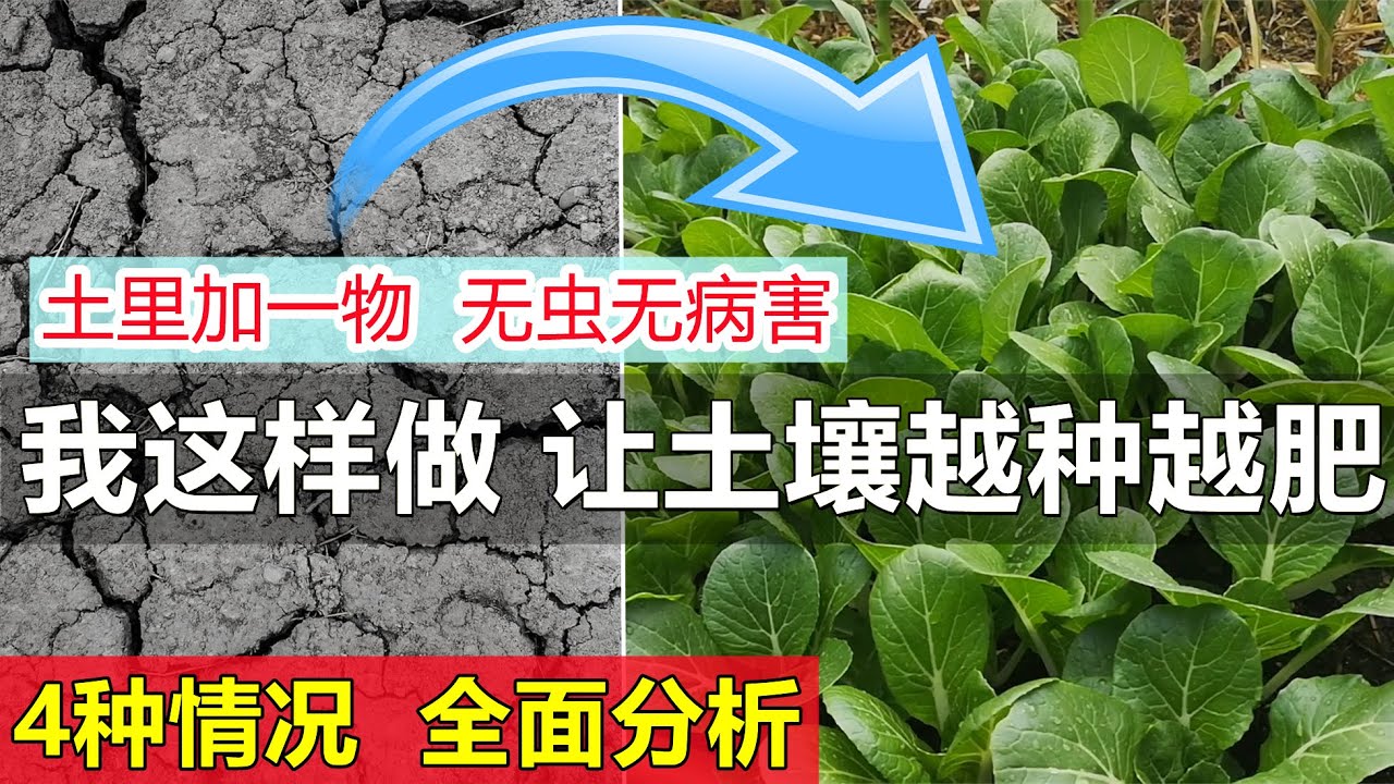 种菜土壤准备：4种情况(拉秧后,盆栽,春播前,新菜地), 让旧土变肥土 Turning old soil into organic fertile soil