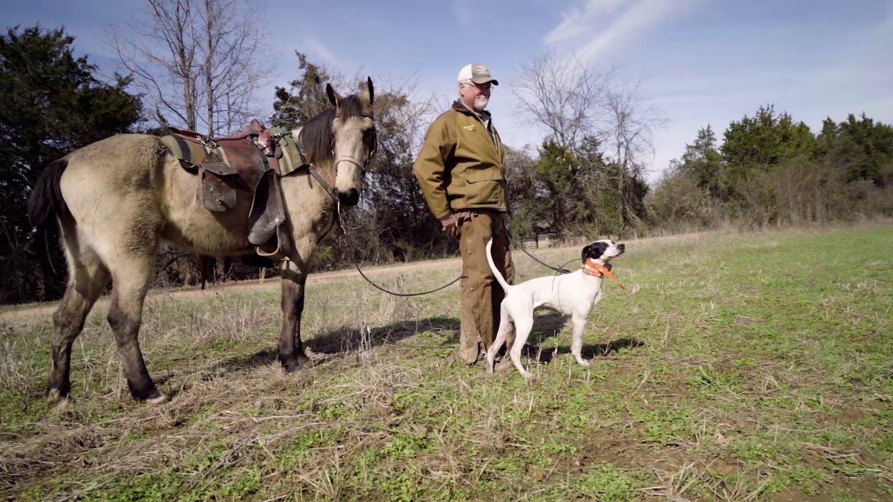 2019 National Field Trials