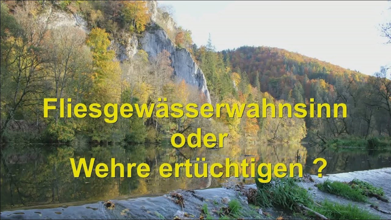Fischtreppe, Fischaufstiegshilfe – Funktion & Beispiele - Vergleich ; Bronner Wehr Fridingen