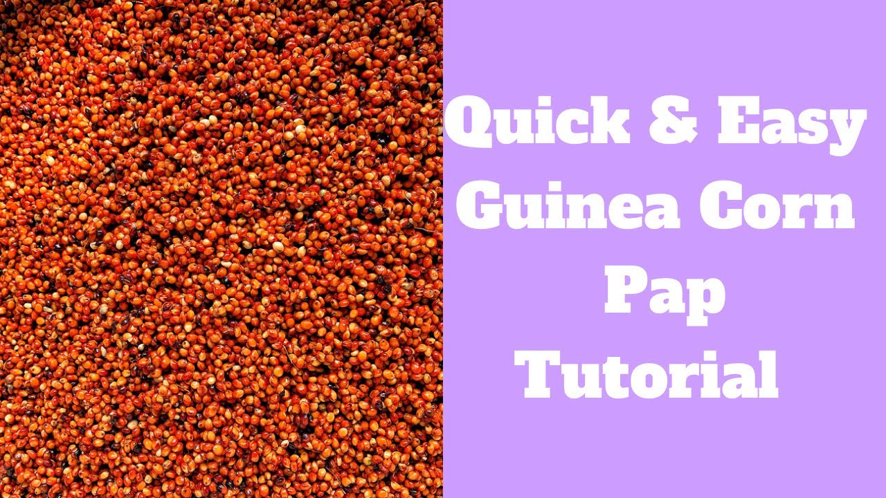 Quick & Easy Guinea Corn Pap | From Scratch| Akamu | Ogi |