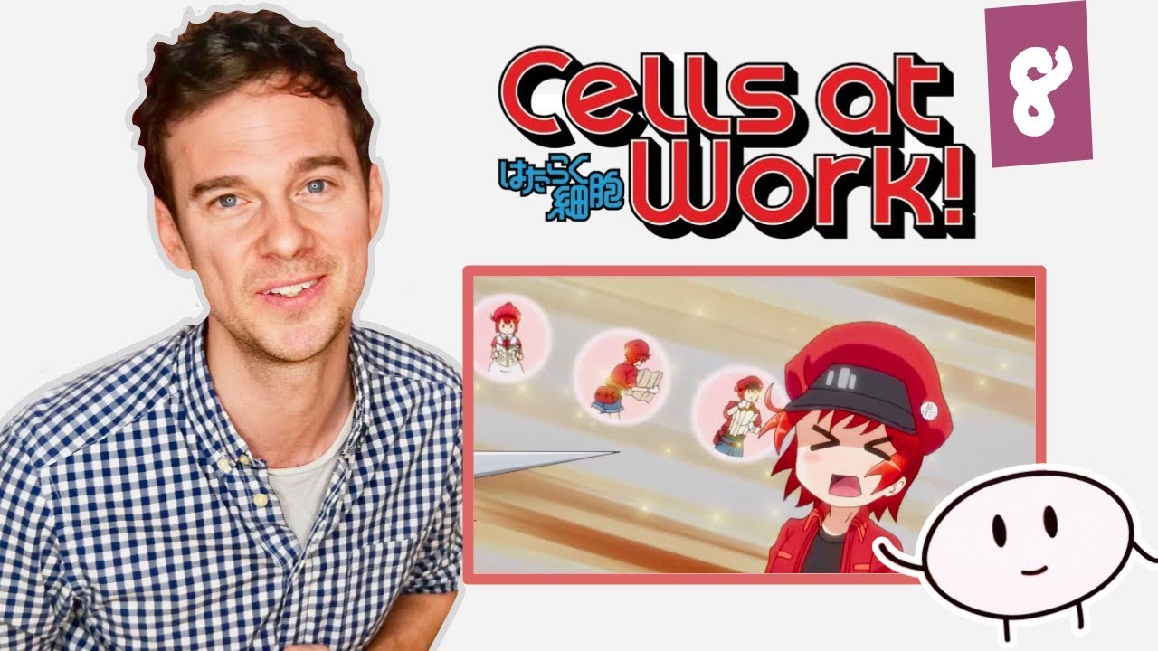 DOCTOR reacts to CELLS AT WORK! // Episode 8 // 