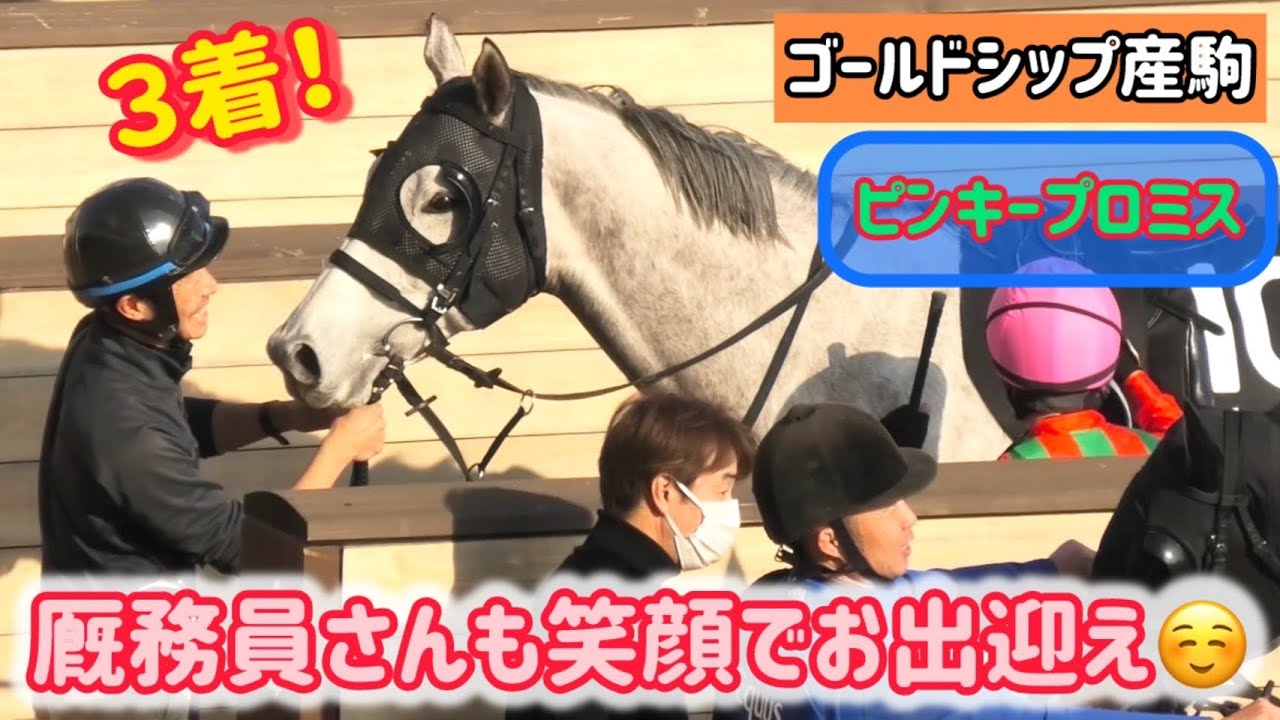 【ゴールドシップ産駒】馬群を切り裂き好走！厩務員さんに笑顔でお出迎えされるピンキープロミス