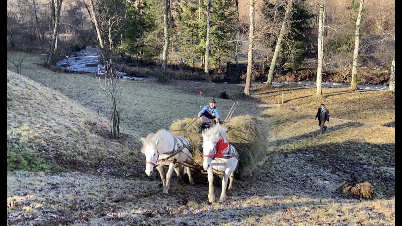 După fan cu Doina și Gina-Budesti,Maramures#2021