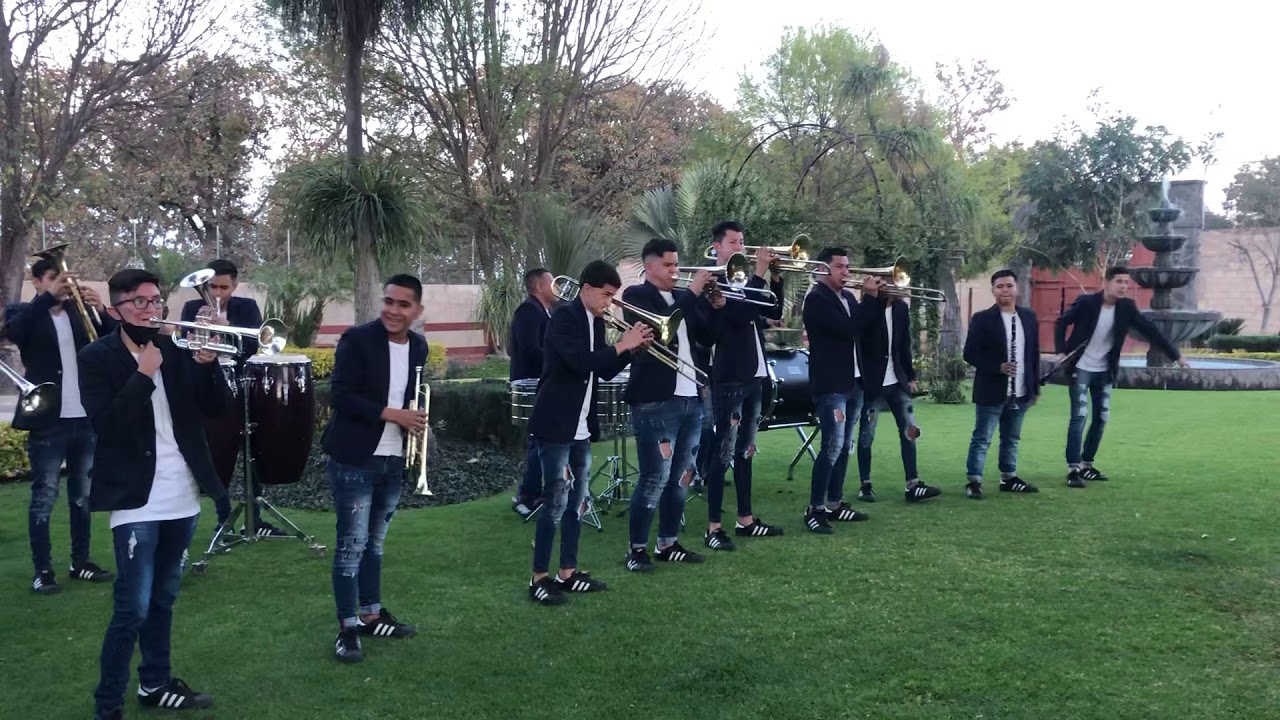 Banda Los Coyulitos - El Olotito (En Vivo) 2021