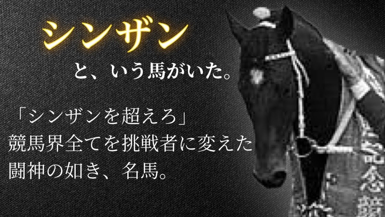 【神馬と呼ばれた馬】シンザン🏇