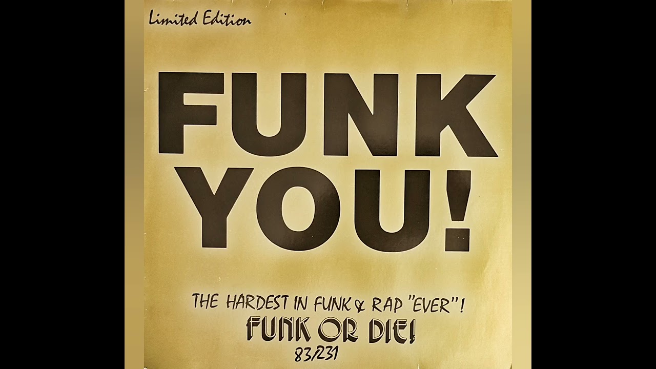 Metrovynil FUNK YOU!  Program 1 LP 83 /231 (B - Side): BLOWFLY MIX