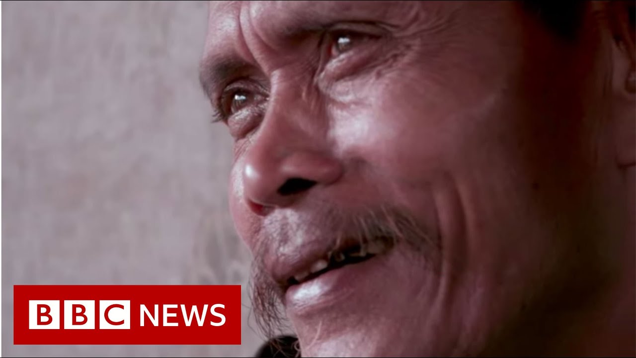 Leuser rainforest: The elephant men of Bener Meriah - BBC News