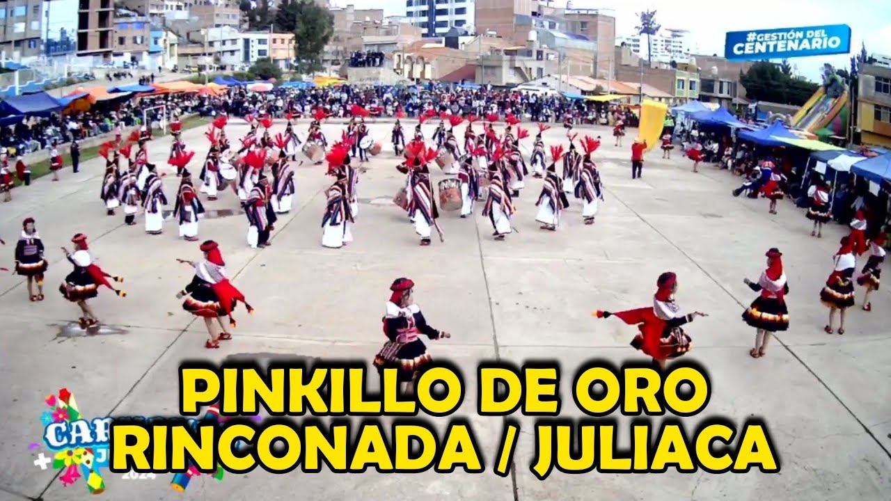 PINKILLO DE ORO JULIACA rinconada / Peru 2024