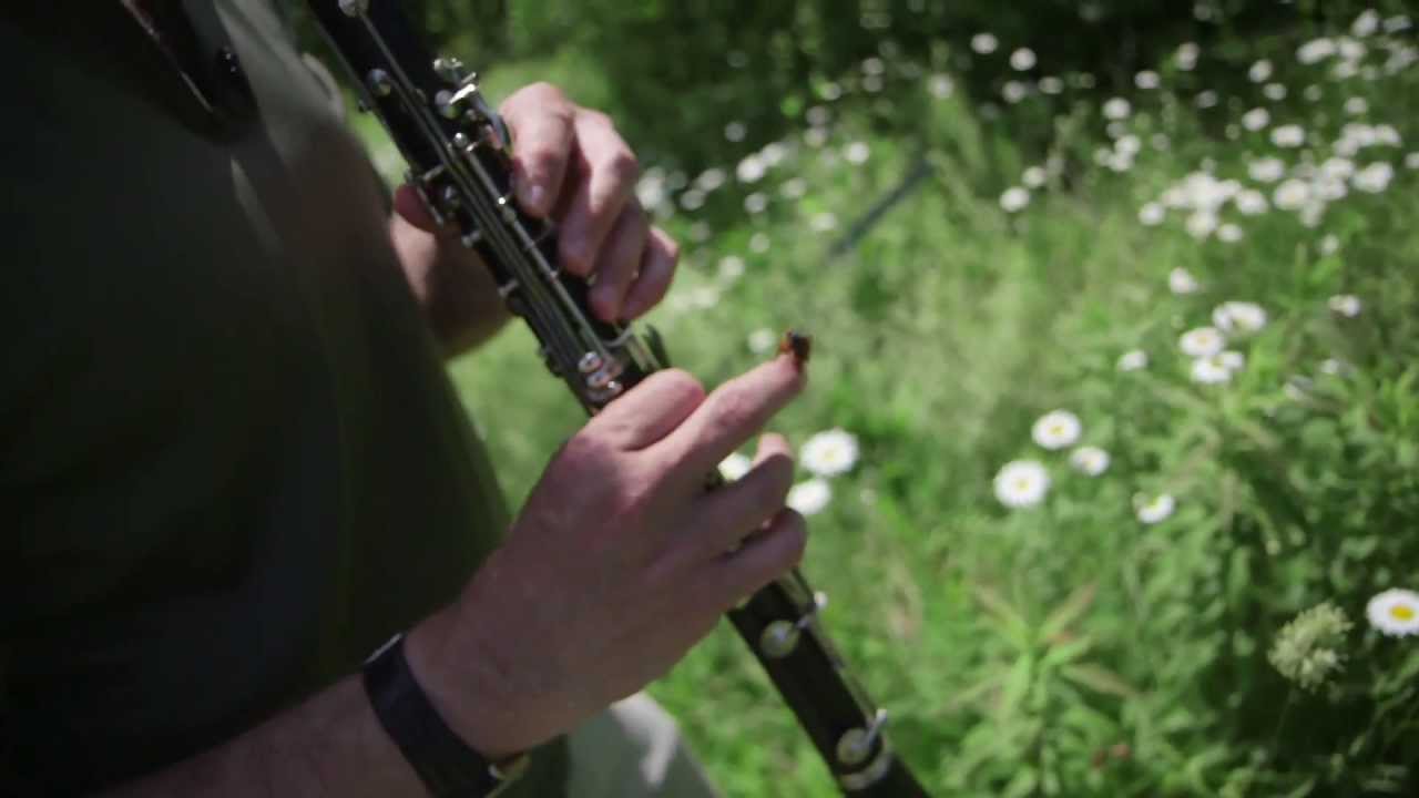David Rothenberg Jams with the Cicadas