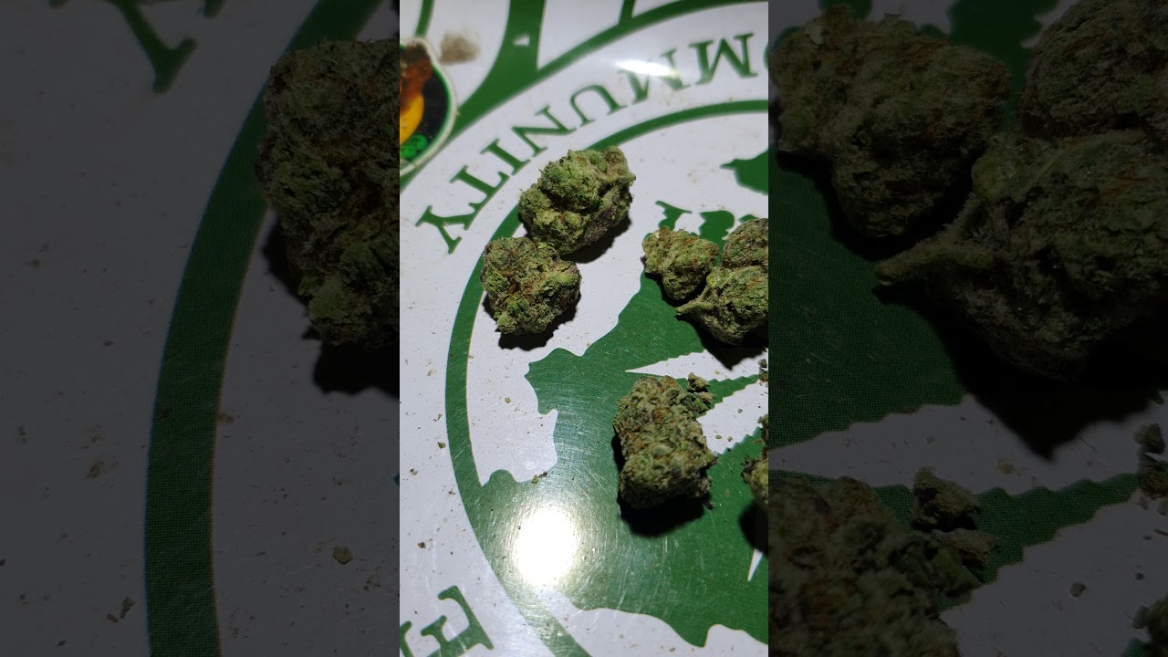 Animal mintz loose cali weed review