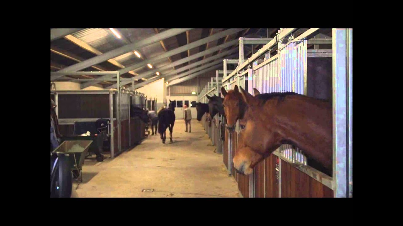 Keuring paard topsport eDigit