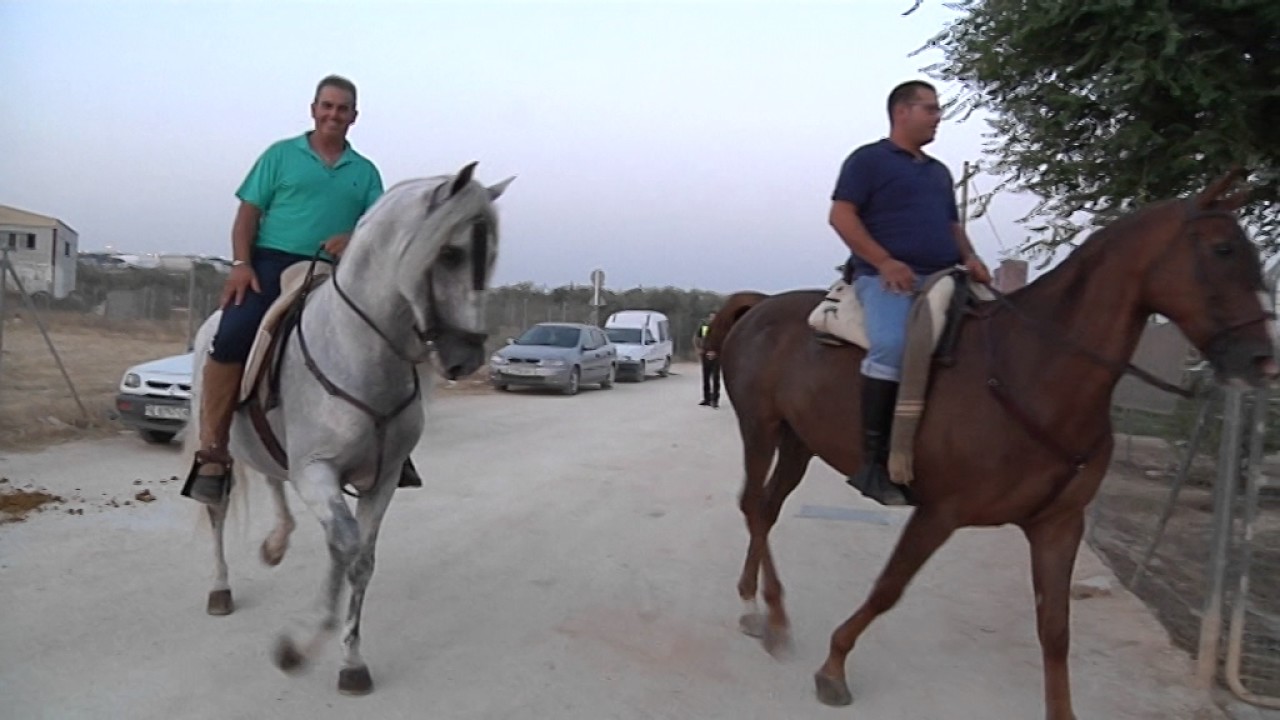 Ruta Nocturna a Caballo - Asociación Amigos del Caballo Pedrera - Julio 2017