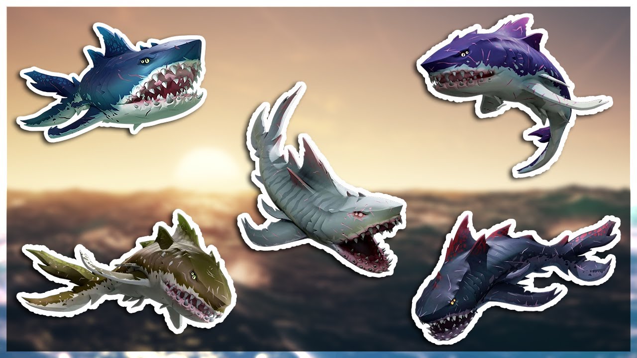 MEGALODON Sea of Thieves Guide!