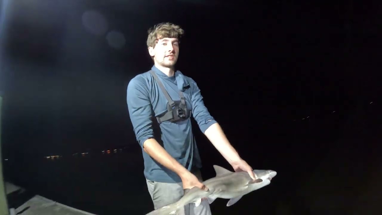 Inshore Shark Fishing