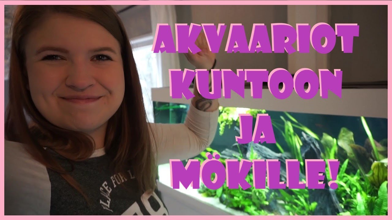 Akvaario VLOG! Viikonloppuun valmistautuminen!