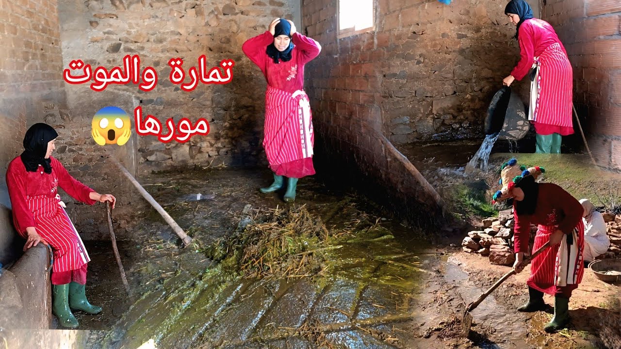 أربي شهد تمارة😱 أنا عيت مين غنبدا هكذا تعيش المرأة القروية المكافحة ❓🚫