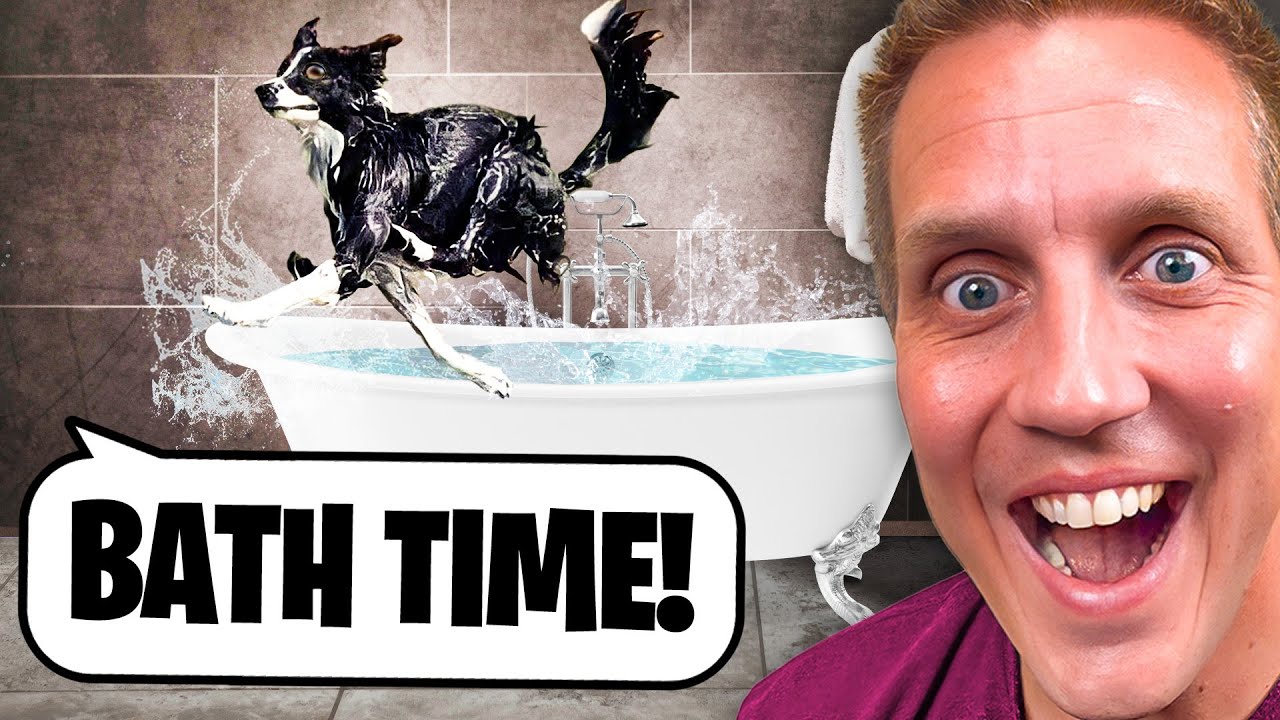 Funny Dogs Reacting to Water for the First Time