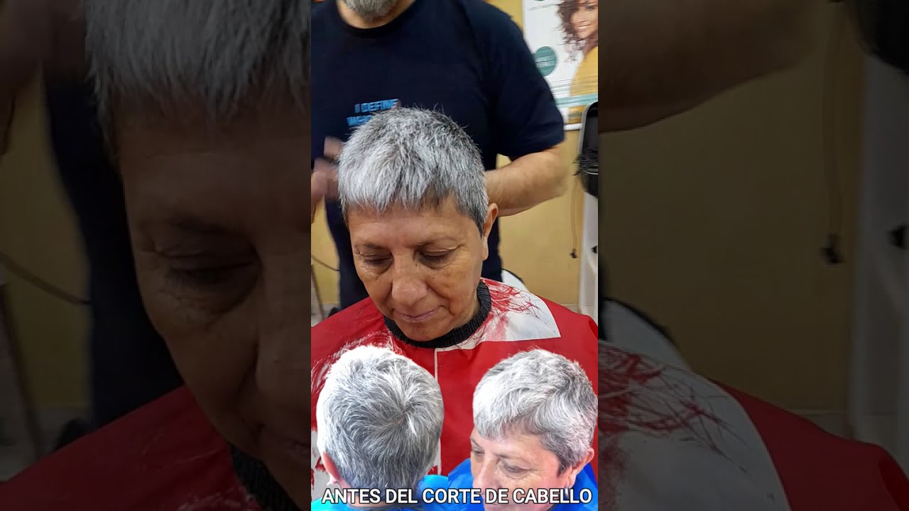 Matizacion Canas Gris, y corte de cabello Peines PrecisCut, Paso a Paso. #cabello #peluqueria