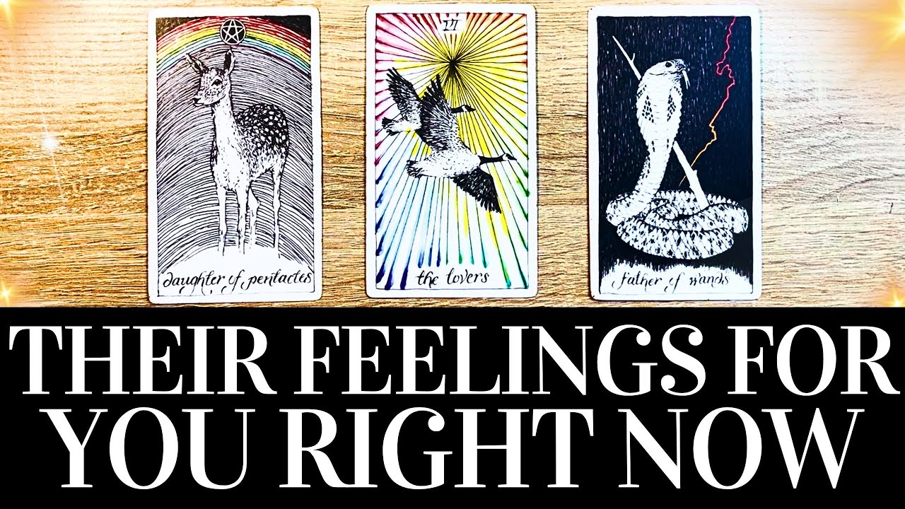 PICK A CARD💓😍 Their TRUE FEELINGS For You RIGHT NOW! 😍💓 They want you to know THIS! 🌟 Tarot Reading