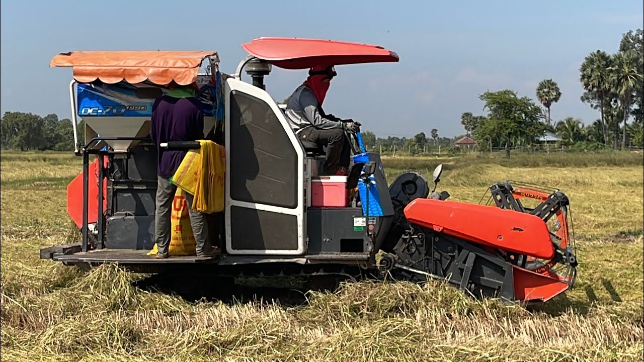 Ngày đầu vụ của a máy cắt lúa kubota dc70