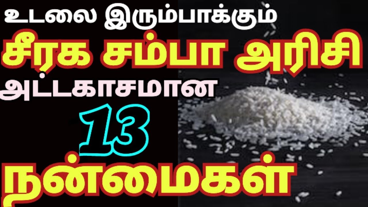 seeraga samba rice benefits in tamil| சீரக சம்பா அரிசி பயன்கள்| seeraga samba arisi| jeera rice uses