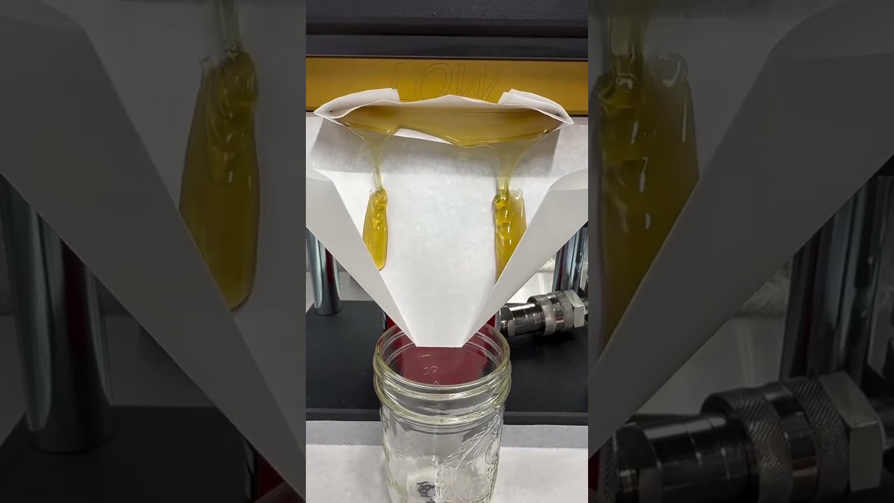 Which bag gave us the most honey?!@rosinevo1 #rosinevolution #rosin