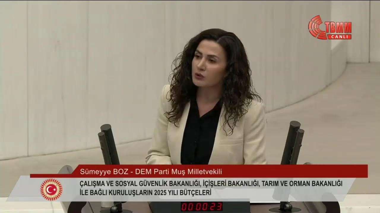 Milletvekilimiz Sümeyye Boz, Çalışma ve Sosyal Güvenlik Bakanlığı Bütçesi görüşmelerinde konuşuyor