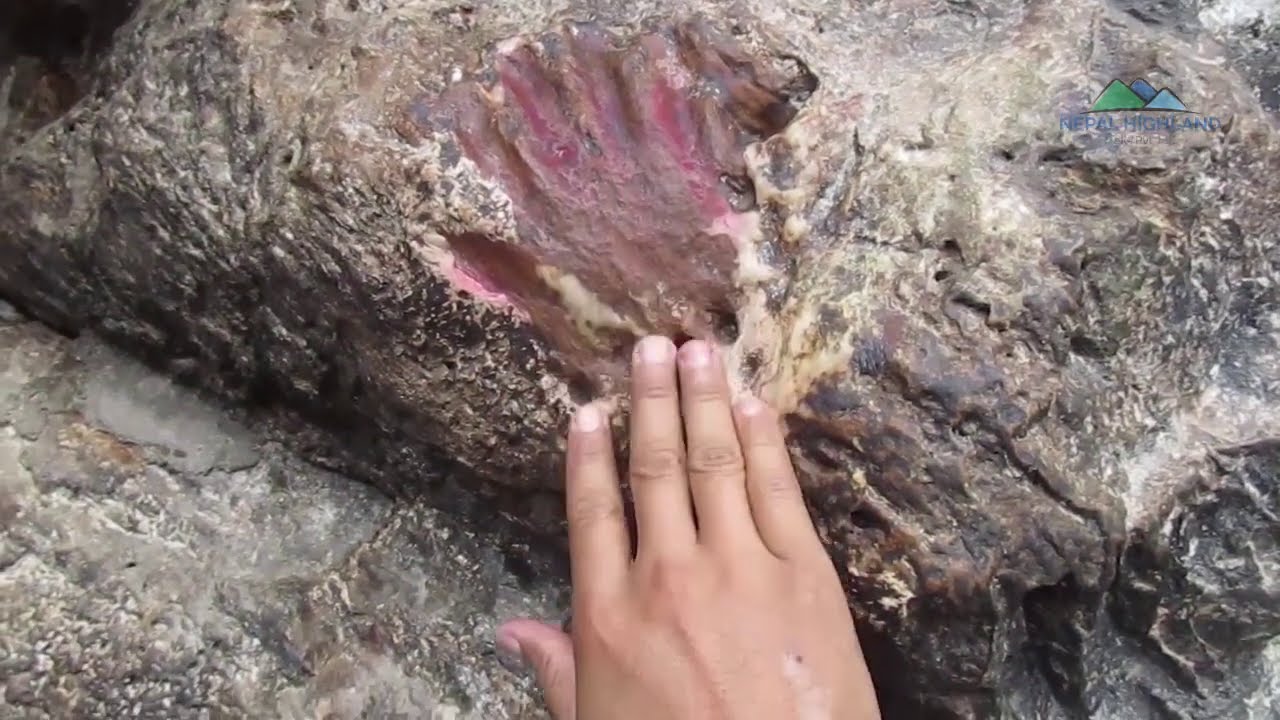 Asura cave Pharping, Guru Rinpoche Padmashambhab | Bajrayogini temple, Shesanarayan and Taudaha