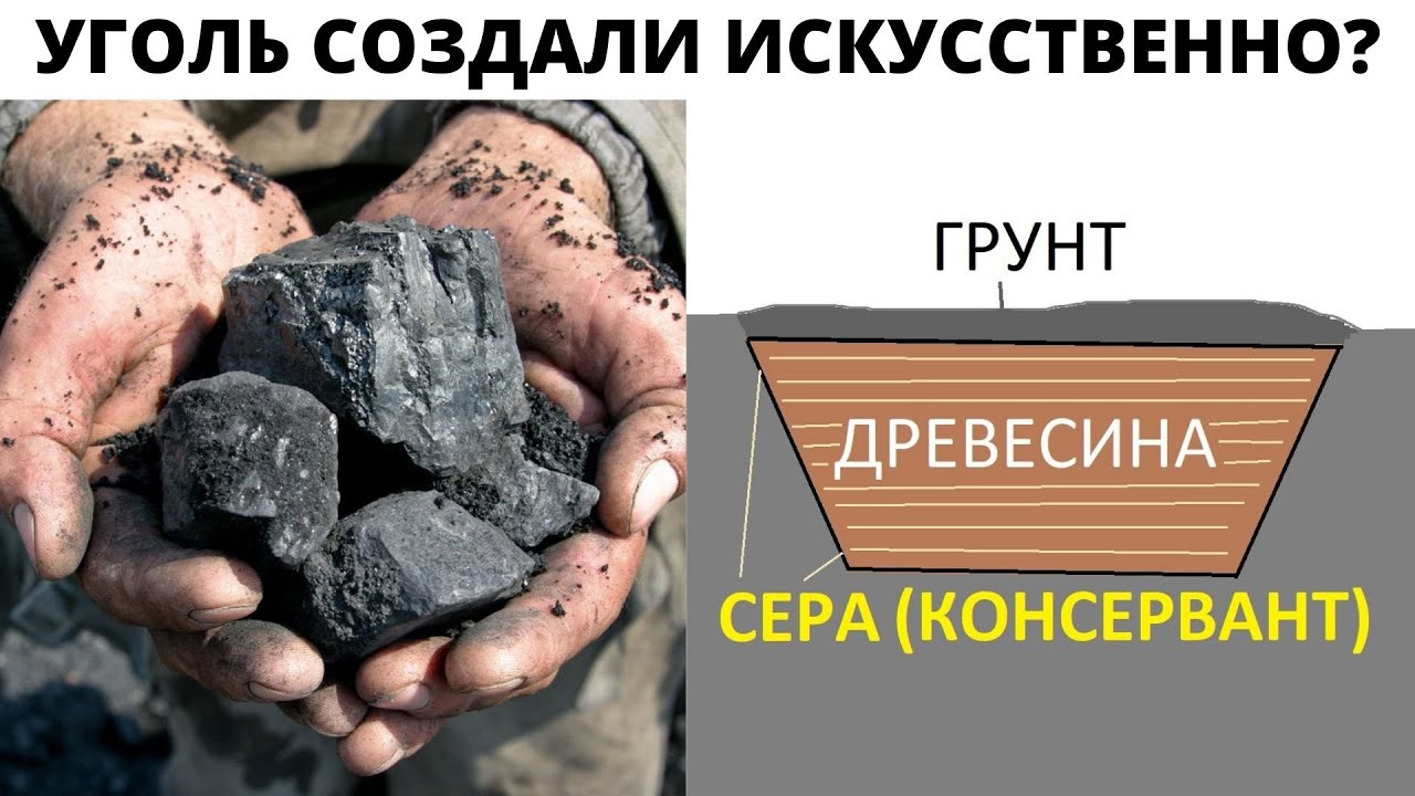 Откуда каменный уголь на самом деле ?
