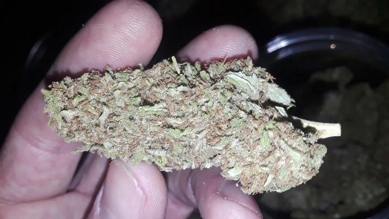 pink candy/Animal cookies wax and update on weed cure