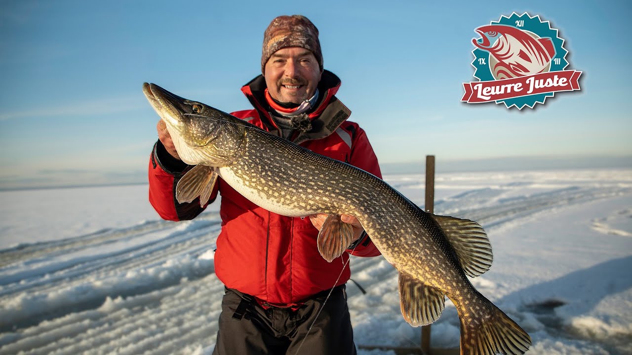 Leurre Juste S05E04 - Pêche blanche : Grandes dents du lac Saint-Pierre
