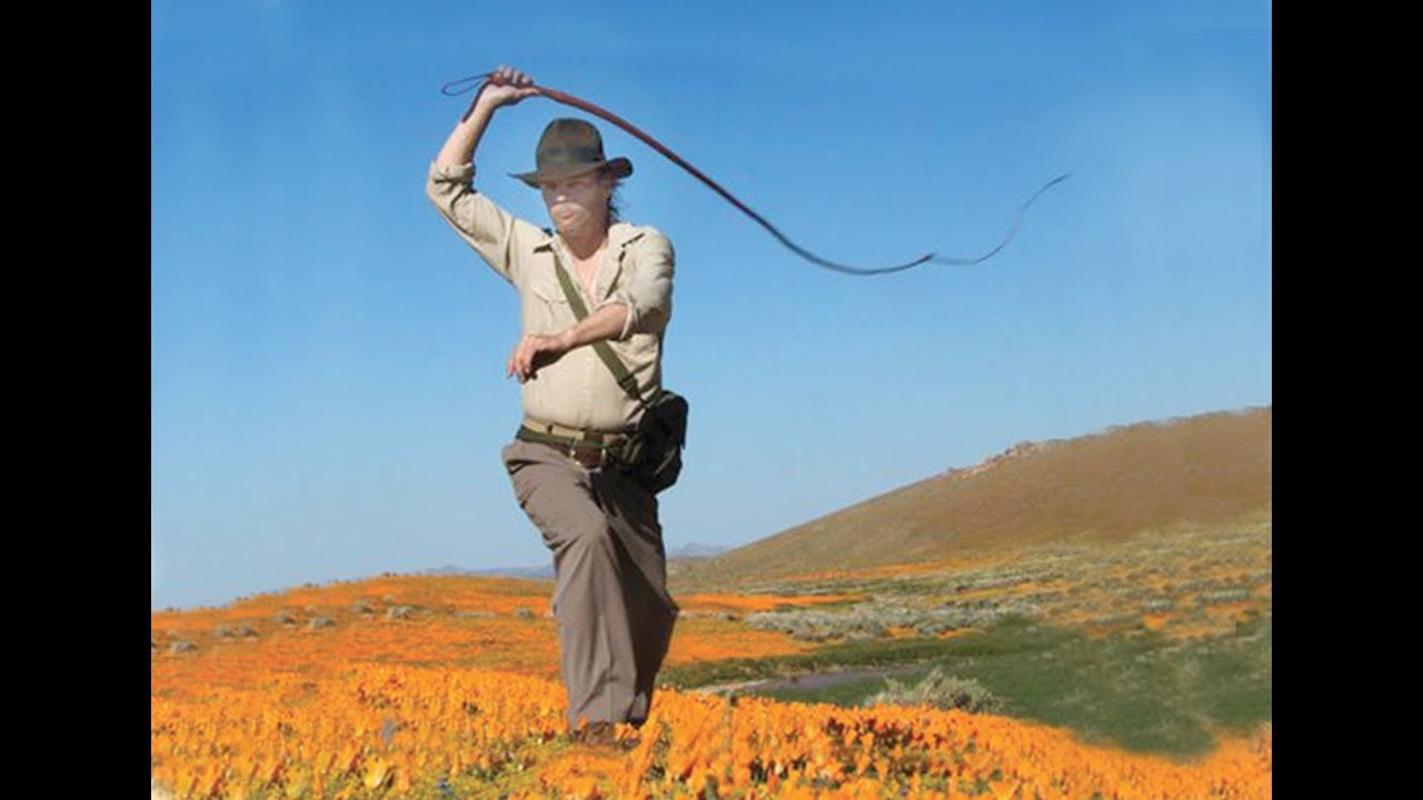 Bullwhip Basics Web Short by Pony R. Horton