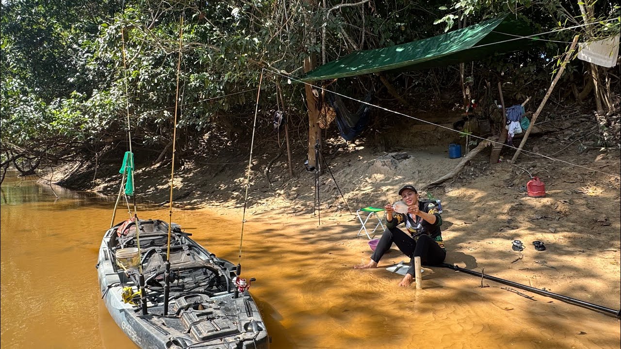 🏕️ACAMPAMENTO PESCARIA COM PEIXES FRITOS NA BARRANCA DO RIO 🎣🎣